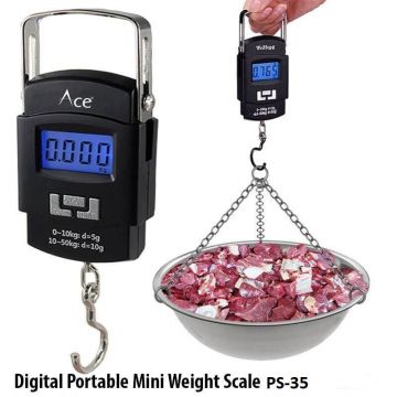 Portable scale