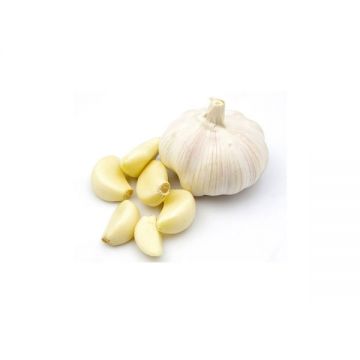 Daily Shopping (রসুন ) Garlic China Pack 1 kg 35111