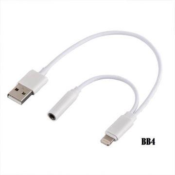  2 in 1 Lightning Charging Cable and 3.5mm Headphone Jack for iPhone - Silver